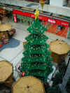 christbaum16.jpg (126416 Byte)