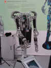 wff01.jpg (123958 Byte)