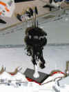 stapir11.jpg (65651 Byte)