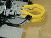 iss_delphin1.jpg (54422 Byte)