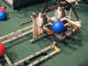 ballcoaster09.jpg (134665 Byte)