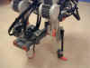 rama08.jpg (112470 Byte)