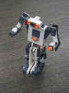 minirex02.jpg (102261 Byte)