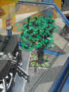 met05_elcaracho03.jpg (122895 Byte)