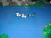 burg24.jpg (157927 Byte)