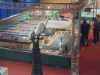 saal06.jpg (168912 Byte)